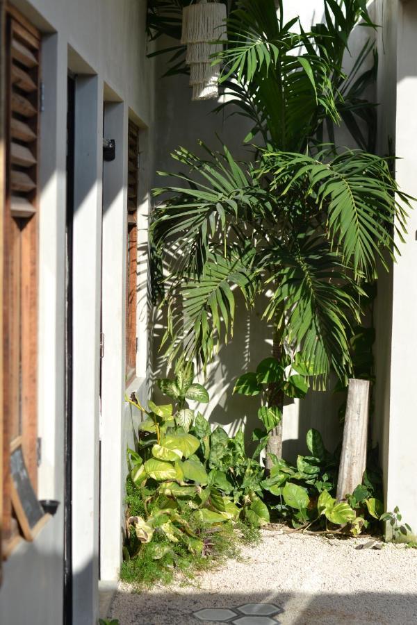 Hostal Dona Lucha Tulum Dış mekan fotoğraf